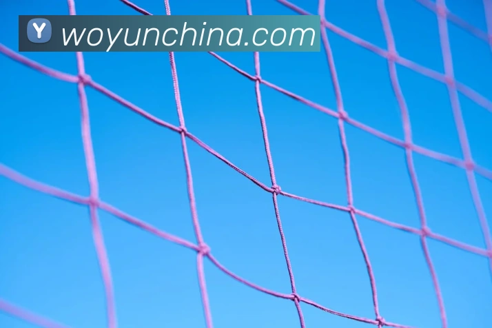 在线买世界杯平台,世界杯(中国)平台生态图