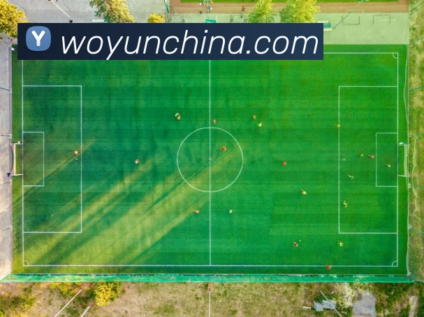 未来规划